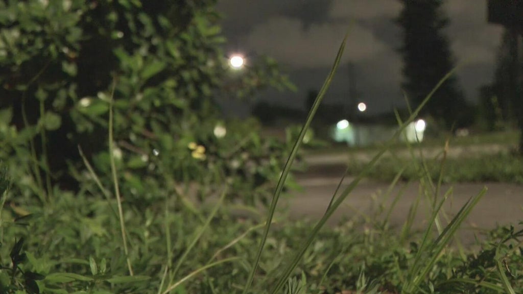 Broward mother says she went months without update after reporting man outside her window — CBS Miami, Seoul Real Estate news